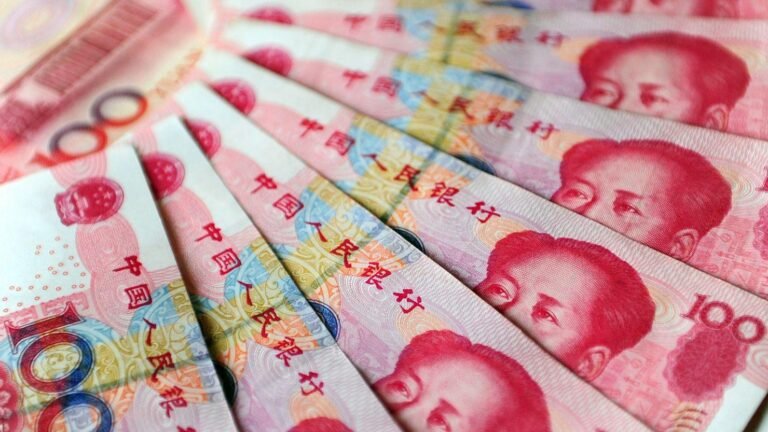 As European economy slows, companies scale back investments in China
