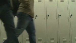 Virginia to investigate Loudoun schools over locker room incident