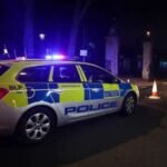 30-year-old British Sikh man stabbed to death in London attack