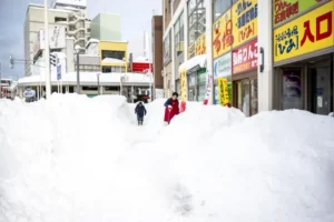 Record-breaking snow blankets Japan, killing at least 30 people