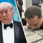 Cole Allen agrees to stay in jail before Trump assassination attempt trial